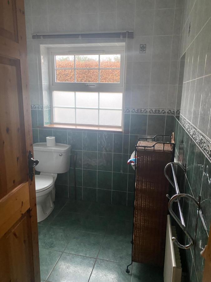 Dromkeal View Apartment Cork Eksteriør billede
